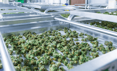 Adobe Stock 142297734 Fmt