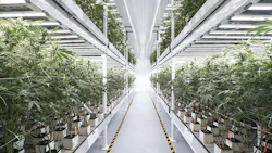 Cultivation Methods Resized