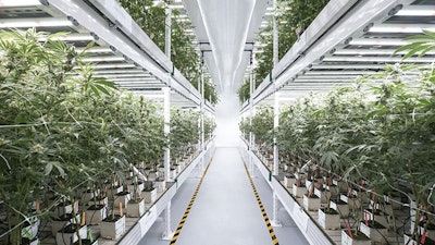 Cultivation Methods Resized