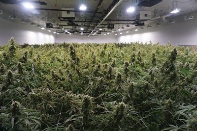 Grow Fmt