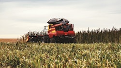 Hemp Harvest