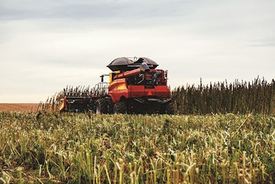 Hemp Harvest