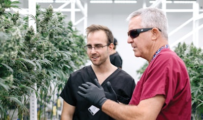 Img 6924 Edit Neck Fmt