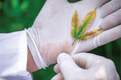 I Stock 1050807200 Fmt