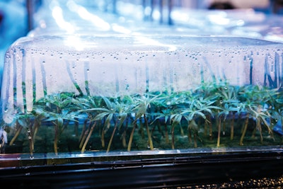 76 A9701 Edit Full Fmt