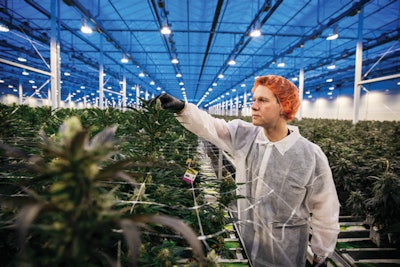 76 A9767 Edit Full Fmt