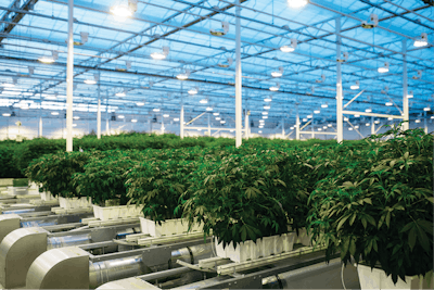 O6 A8588 Edit Full Fmt