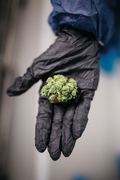 O6 A8618 Edit Full Fmt