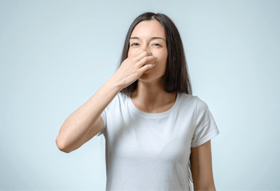 Adobe Stock 155410768 Fmt