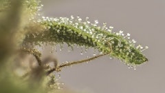 Adobe Stock 177808890