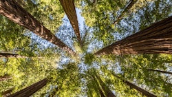 California Humboldt County