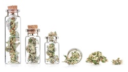 Cannabis In Jars Adobe Stock Credit Msk nina Resized
