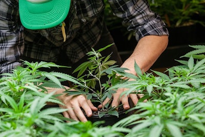 Farmer