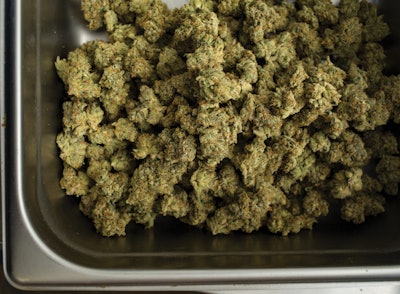 Jackhutch com Stateflower 12 Fmt