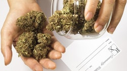 Medical Marijuana Adobe Stock Credit William Casey Resized