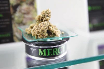 Mercy17 Fmt