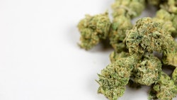 Buds Pattersonic
