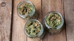 Buds In Glass Jars Adobe Stock Credit Aleksandar Kamasi Resized