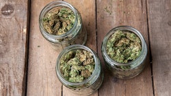 Buds In Glass Jars Adobe Stock Credit Aleksandar Kamasi Resized