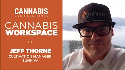 Cannabis Workspace Template4