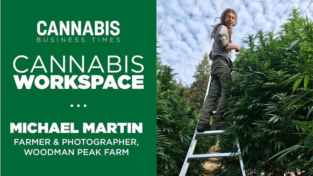 Cannabis Workspace Template6