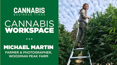 Cannabis Workspace Template6