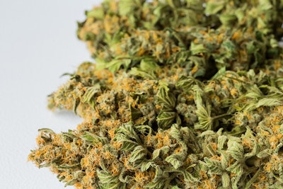 Dried Marijuana Adobe Stock Credit Sunshine Seeds Resized