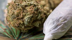 Marijuana Bud And Joint Adobe Stock Credit Ststoev Resized