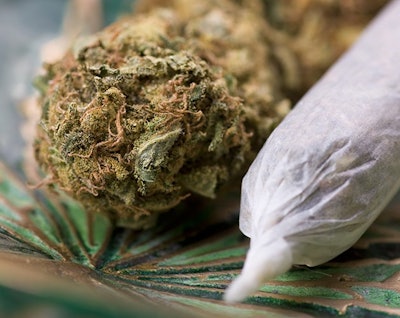 Marijuana Bud And Joint Adobe Stock Credit Ststoev Resized