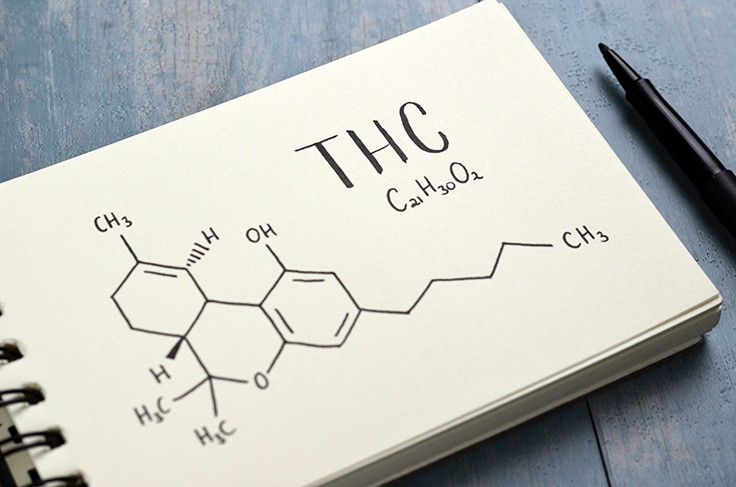 Thc Treenabeena