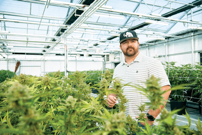 2019 Brandon Tigrett Commercial Photographer Cannabis Business Times Harvest Inc 163 00008 Fmt