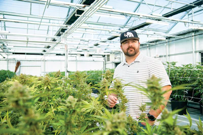 2019 Brandon Tigrett Commercial Photographer Cannabis Business Times Harvest Inc 163 00008 Fmt