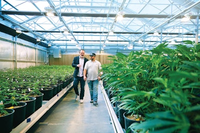 2019 Brandon Tigrett Commercial Photographer Cannabis Business Times Harvest Inc 25 00023 Fmt