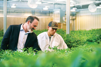 2019 Brandon Tigrett Commercial Photographer Cannabis Business Times Harvest Inc 41 00024 Fmt