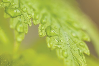 Adobe Stock 200443942 Fmt