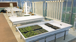 Are You Well Versed In Hydroponics Part Ii 2