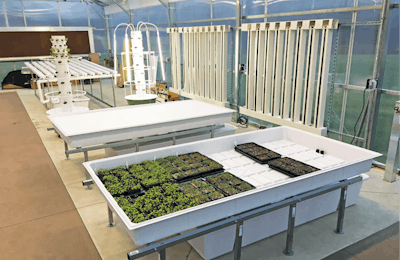 Are You Well Versed In Hydroponics Part Ii 2