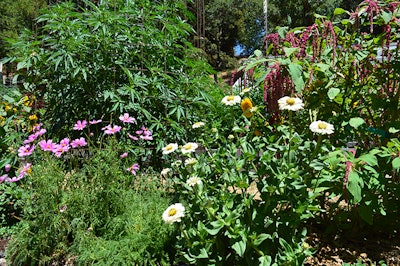 Moon Made Farms2 Resized