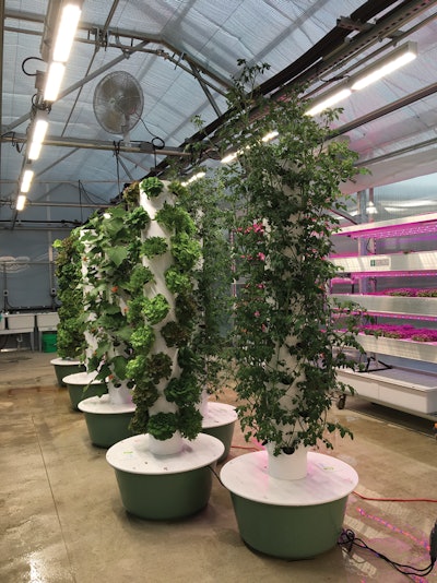 Tower Gardens Fmt