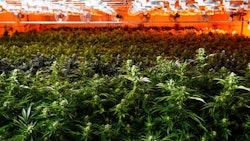 California Hsrc Norcal Resized