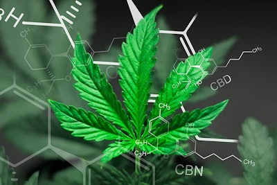 Cannabinoids Adobe Stock Credit Cendeced Resized