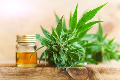 Cbd Oil And Leaves Adobe Stock Credit Elroi Resized