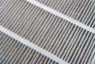 Adobe Stock 183332660 Fmt