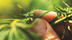 Adobe Stock 222969367