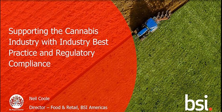 Bsi Supporting The Cannabis Industry Webinar Resized