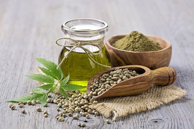 Hemp Seeds Oil Adobe Stock Credit Elena Schweitzer Resized