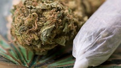 Marijuana Bud And Joint Adobe Stock Credit Ststoev Resized