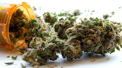 Medical Marijuana In Rx Bottle Adobe Stock Credit Atomazul Resized