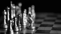 Risk Management Cannabis