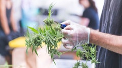 Supporting Story 2 Getty Images Resized